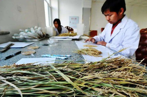 人人可参与，最高奖金12万元 生物农药技术研发新机遇