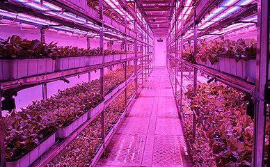 生态+智慧 园区现代农业“创”出一片天——生物农药技术研发