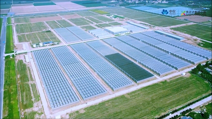 锚定农业强国目标 先正达集团以生物农药技术研发驱动农业现代化转型