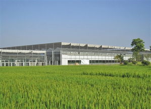 推进生态循环 生物农药技术在现代农业协调发展中的关键作用