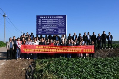 绿色防控，“薯”来运转——河南省农科院植保所召开甘薯病虫害绿色防控培训观摩会