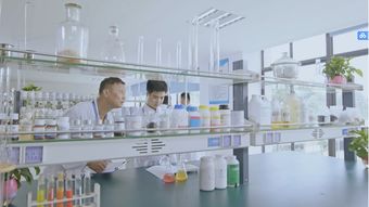 生物农药技术研发的先锋——广东省城市建设技师学院