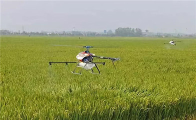 从跟跑到领跑 我国农药行业四十年变迁与诺普信在生物农药研发中的使命