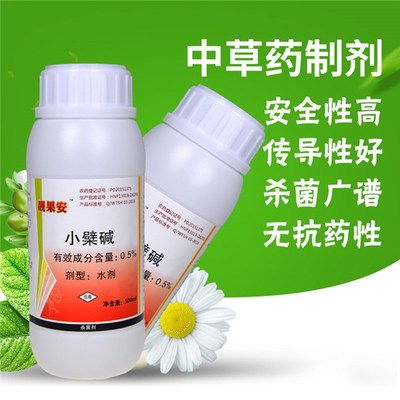 生物农药溃腐灵 草莓枯黄萎病的绿色克星与技术研发前沿