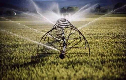 生物育种与数字农业双翼齐飞 引领现代农业科技新革命